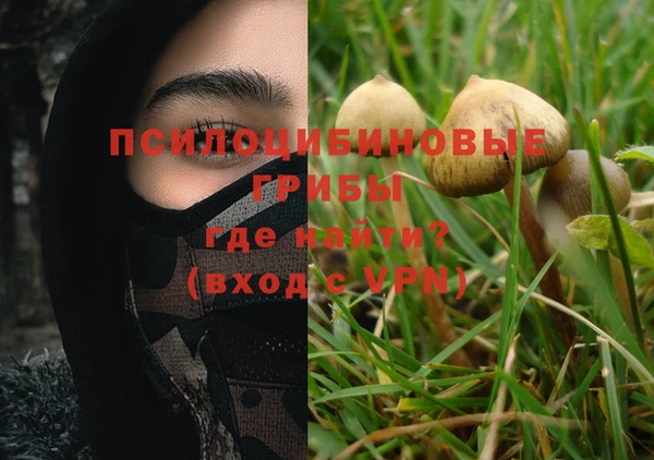 дмт Каменка